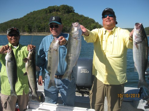 Nice Striped Bass