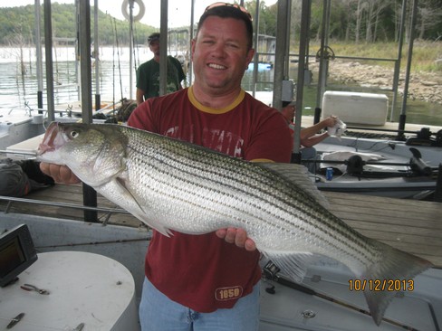 Nice Striped Bass