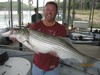 (10/12/2013) - Nice Striped Bass