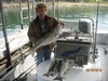 (10/13/2013) - Nice Striped Bass