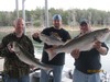 (10/14/2013) - Nice Striped Bass