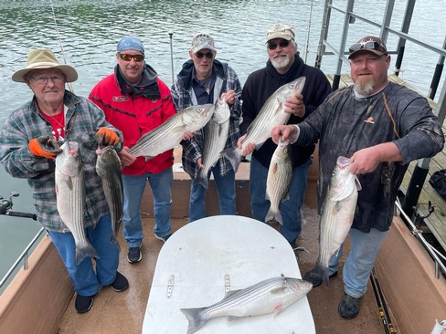 Nice Striped Bass