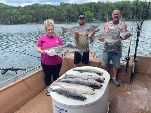 Nice Striped Bass