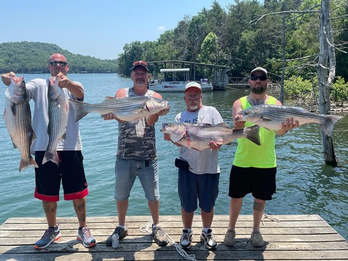 Nice Striped Bass