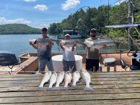 Nice Striped Bass