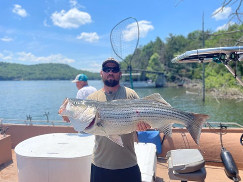 Nice Striped Bass
