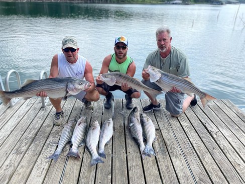 Nice Striped Bass