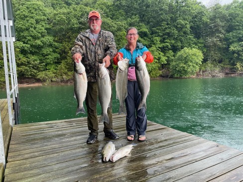 Nice Striped Bass