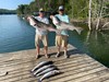 (07/09/2021) - Nice Striped Bass