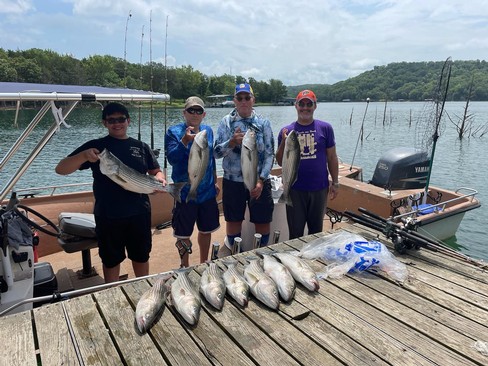 Nice Striped Bass