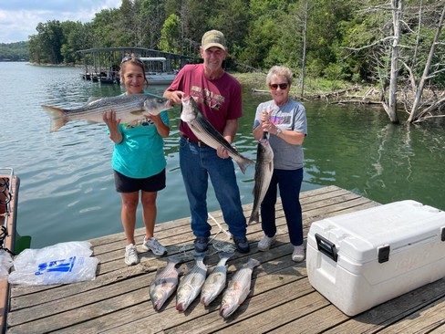 Nice Striped Bass