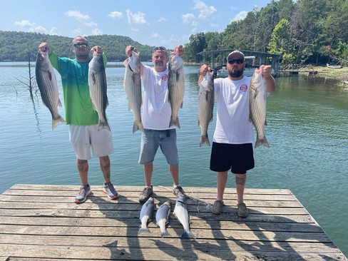 Nice Striped Bass
