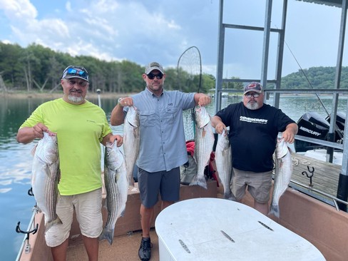 Nice Striped Bass