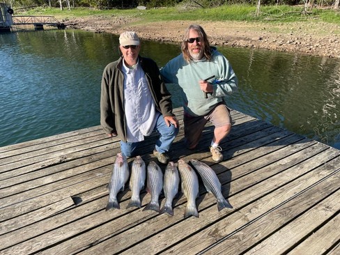 Nice Striped Bass