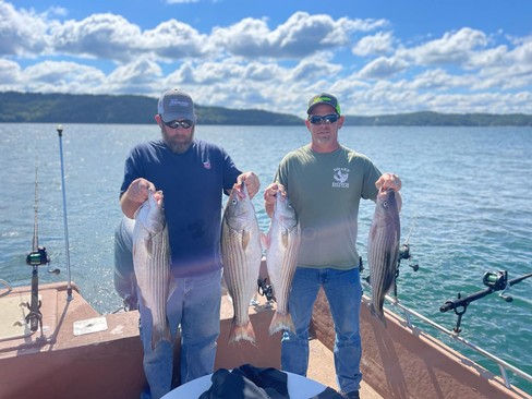 Nice Striped Bass