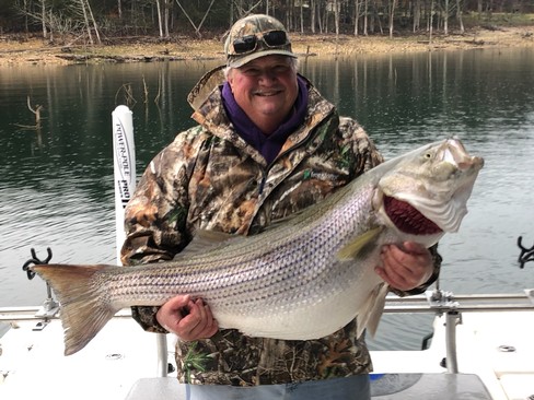 Nice Striped Bass