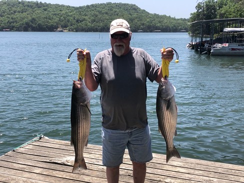 Nice Striped Bass