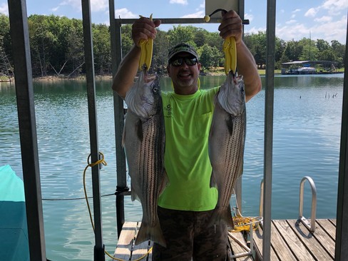 Nice Striped Bass