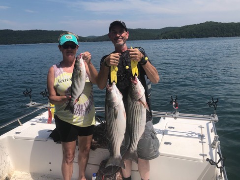 Nice Striped Bass