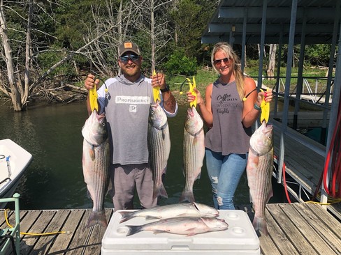Nice Striped Bass