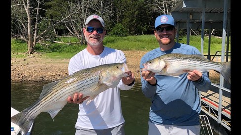 Nice Striped Bass