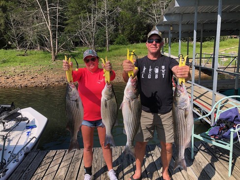 Nice Striped Bass