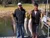 (09/26/2022) - Nice Striped Bass