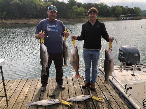 Nice Striped Bass