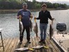 (04/27/2024) - Nice Striped Bass