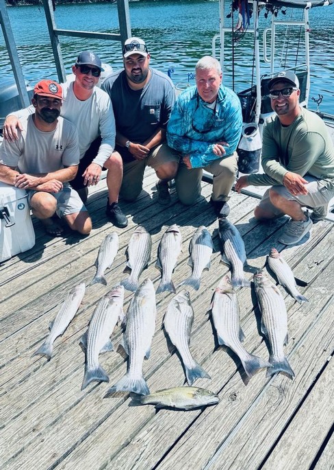 Nice Striped Bass