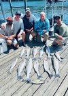 (06/21/2025) - Nice Striped Bass