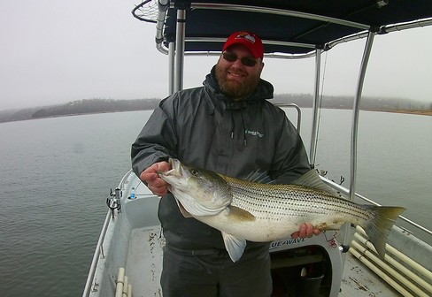 Nice Striped Bass