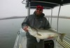 (01/15/2017) - Nice Striped Bass