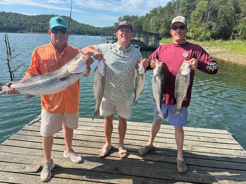 Nice Striped Bass