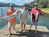(06/17/2024) - Nice Striped Bass