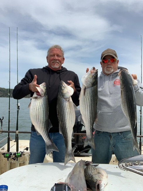 Nice Striped Bass