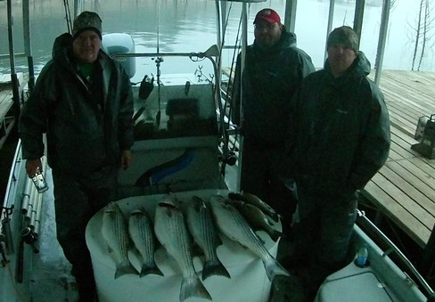Nice Striped Bass