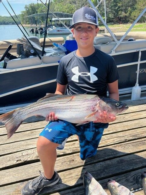 Nice Striped Bass