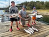 (08/11/2024) - Nice Striped Bass