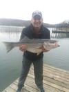 (03/23/2019) - Nice Striped Bass