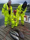 (04/24/2019) - Nice Striped Bass