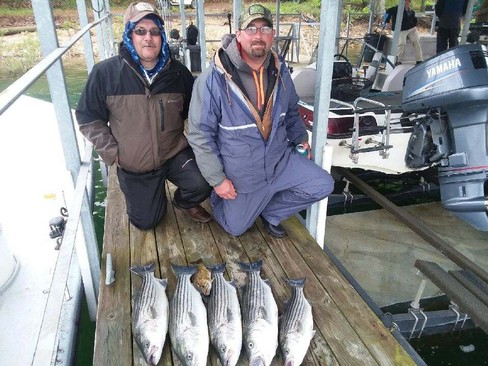 Nice Striped Bass