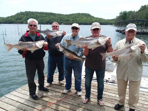 Nice Striped Bass