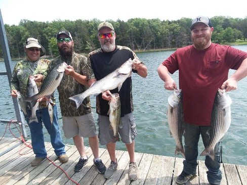 Nice Striped Bass