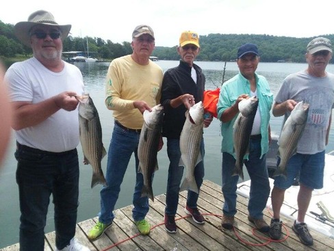Nice Striped Bass