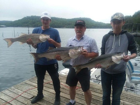 Nice Striped Bass