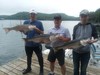 (06/06/2019) - Nice Striped Bass