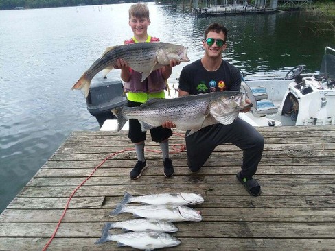 Nice Striped Bass