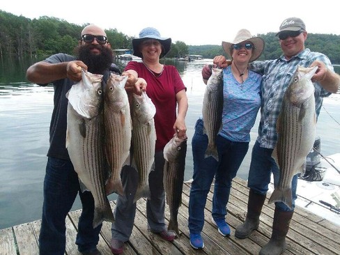 Nice Striped Bass