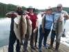 (06/09/2019) - Nice Striped Bass